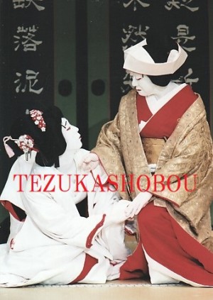 坂東玉三郎 舞台写真 ブロマイド | 手塚書房‐公式ホームページ