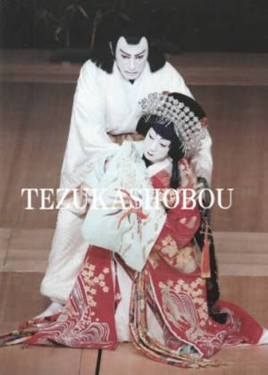 坂東玉三郎 舞台写真 ブロマイド | 手塚書房‐公式ホームページ