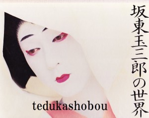 坂東玉三郎 本 写真集 | 手塚書房‐公式ホームページ